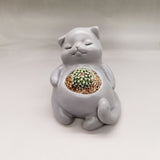 Succulents Handmade Cement Plant Creative Flower Pot