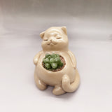 Succulents Handmade Cement Plant Creative Flower Pot