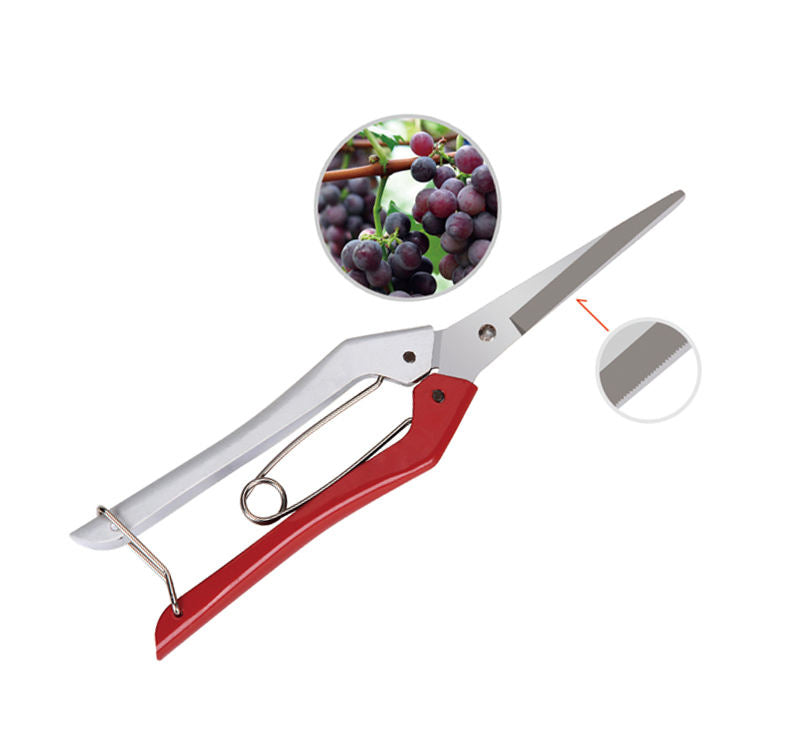 Grape Pruning Shears Gardening Fruit Harvesting