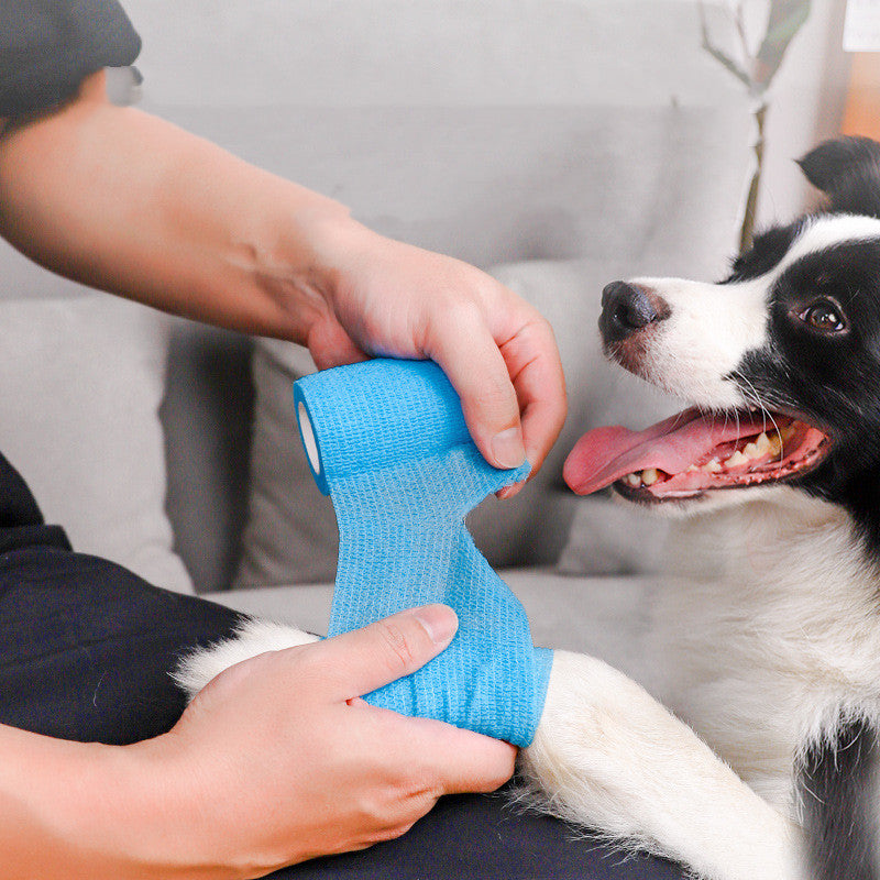 CleanWalk Puppy Protector Gear